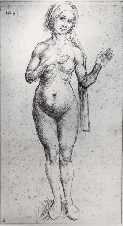 Albrecht Durer Bath Attendant